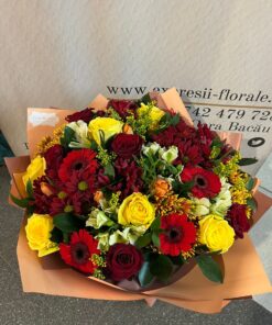 Alternative view of Curcubeu in mana