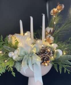 Alternative view of Eleganță polara