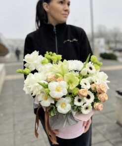 Alternative view of Armonie Regala