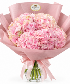 PINK ROMANCE